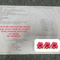 Chính Chủ Bán 240m2 CLN Ngọc Nhị, bao sang tên, sổ chính chủ Xã Cẩm Lĩnh, Ba Vì, Hà Nội