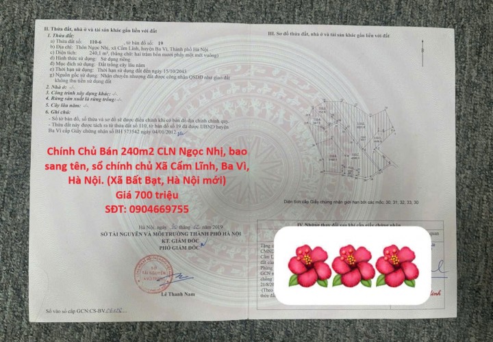 Chính Chủ Bán 240m2 CLN Ngọc Nhị, bao sang tên, sổ chính chủ Xã Cẩm Lĩnh, Ba Vì, Hà Nội