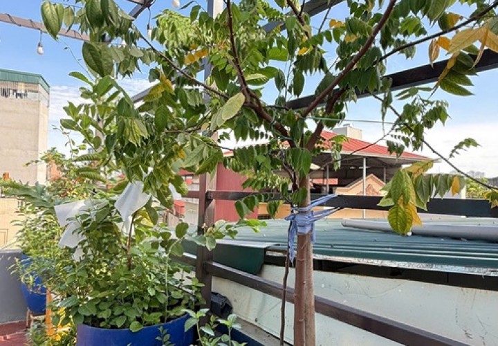 CẦN BÁN NHÀ CHÍNH CHỦ Phố Định Công Thượng, Phường Định Công, Quận Hoàng Mai, Hà Nội