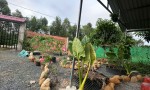 ĐẤT ĐẸP - GIÁ TỐT - Cần Bán Lô Đất Vườn Tại Đường ĐT. 823, Xã Bình Hòa Bắc, Huyện Đức Huệ, Long An.
