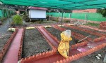 ĐẤT ĐẸP - GIÁ TỐT - Cần Bán Lô Đất Vườn Tại Đường ĐT. 823, Xã Bình Hòa Bắc, Huyện Đức Huệ, Long An.