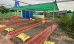 ĐẤT ĐẸP - GIÁ TỐT - Cần Bán Lô Đất Vườn Tại Đường ĐT. 823, Xã Bình Hòa Bắc, Huyện Đức Huệ, Long An.