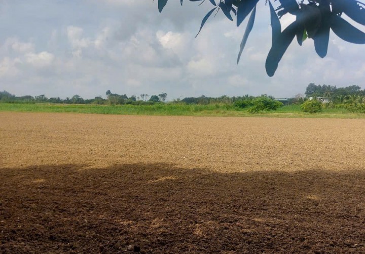 CHÍNH CHỦ BÁN NHANH ĐẤT TẶNG KÈM NHÀ MÁI BẰNG SAU LƯNG UBND Xã Cát Tiên, Lâm Đồng mới