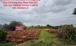 HOT HOT – CHÍNH CHỦ CẦN BÁN ĐẤT TẠI  Xã Vĩnh Thới, Huyện Lai Vung, Đồng Tháp