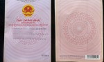 ĐẦU TƯ SINH LỜI – CHÍNH CHỦ Cần Bán Lô Đất Vị Trí Đẹp Gần KCN Phước Đông 500m Gò Dầu, Tây Ninh.