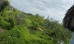 ĐẦU TƯ SINH LỜI – CHÍNH CHỦ Cần Bán Lô Đất Vị Trí Đẹp Gần KCN Phước Đông 500m Gò Dầu, Tây Ninh.