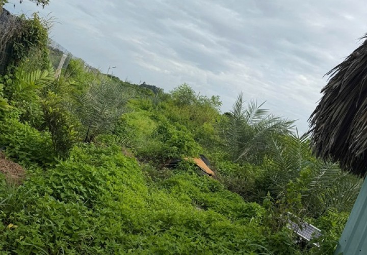 ĐẦU TƯ SINH LỜI – CHÍNH CHỦ Cần Bán Lô Đất Vị Trí Đẹp Gần KCN Phước Đông 500m Gò Dầu, Tây Ninh.