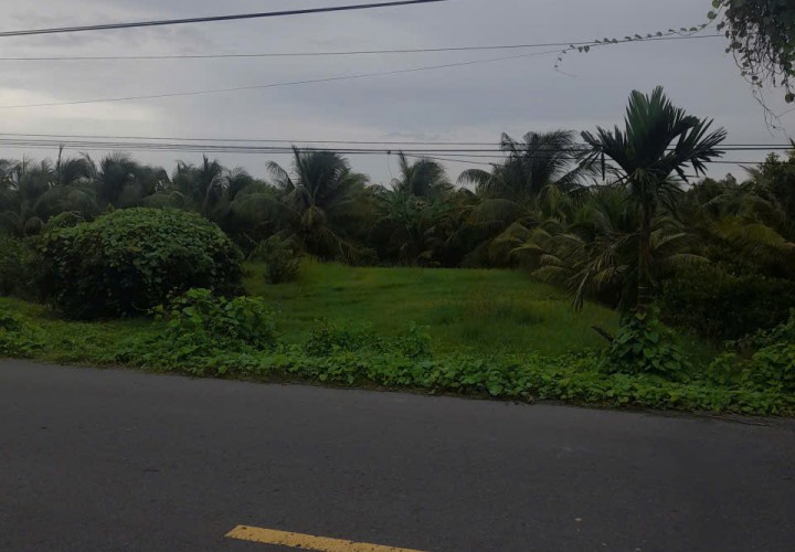 ĐẤT ĐẸP- GIÁ TỐT CHÍNH CHỦ BÁN NHANH LÔ ĐẤT ĐẦU TƯ LÀ SINH LỜI TẠI huyện Cầu Kè, tỉnh Trà Vinh