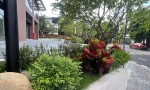 CHÍNH CHỦ BÁN CĂN HỘ The Fibonan KĐT Sinh Thái Ecopark Xã Xuân Quan, Văn Giang, Hưng Yên.