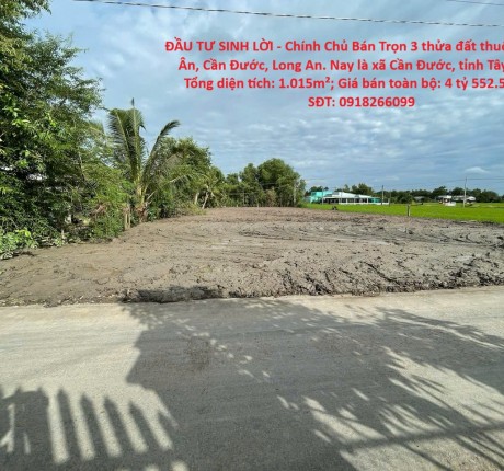 ĐẦU TƯ SINH LỜI - Chính Chủ Bán Trọn 3 thửa đất thuộc xã Tân Ân, Cần Đước, Long An