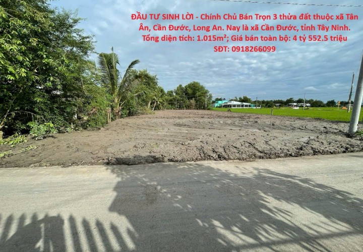 ĐẦU TƯ SINH LỜI - Chính Chủ Bán Trọn 3 thửa đất thuộc xã Tân Ân, Cần Đước, Long An