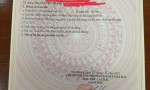 ĐẤT CHÍNH CHỦ - GIÁ TỐT Tại ĐẶC KHU CÁT HẢI Thôn Bắc, Xã Phù Long, Huyện Cát Hải, Tỉnh Hải Phòng
