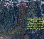 ĐẤT ĐẸP - GIÁ TỐT CHÍNH CHỦ CẦN BÁN 2 LÔ  VỊ TRÍ ĐẮC ĐỊA TẠI Xã Phước Lộc ĐạHoai  , Lâm Đồng