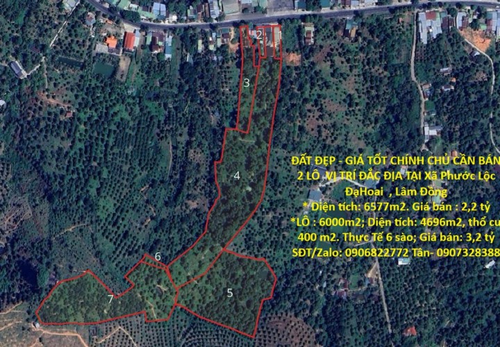 ĐẤT ĐẸP - GIÁ TỐT CHÍNH CHỦ CẦN BÁN 2 LÔ  VỊ TRÍ ĐẮC ĐỊA TẠI Xã Phước Lộc ĐạHoai  , Lâm Đồng