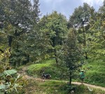 ĐẤT ĐẸP - GIÁ TỐT CHÍNH CHỦ CẦN BÁN LÔ ĐẤT VỊ TRÍ ĐẮC ĐỊA TẠI Xã Hà Lâm, ĐạHoai Lâm Đồng