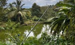 ĐẤT ĐẸP - GIÁ TỐT CHÍNH CHỦ CẦN BÁN LÔ ĐẤT VỊ TRÍ ĐẮC ĐỊA TẠI Xã Hà Lâm, ĐạHoai Lâm Đồng