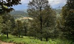 ĐẤT ĐẸP - GIÁ TỐT CHÍNH CHỦ CẦN BÁN LÔ ĐẤT VỊ TRÍ ĐẮC ĐỊA TẠI Xã Hà Lâm, ĐạHoai Lâm Đồng