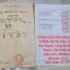 HOT ĐẦU TƯ SINH LỜI – CHÍNH CHỦ CẦN BÁN ĐẤT Tại Xã Tân Hòa, Huyện Tân Thạnh, Long An