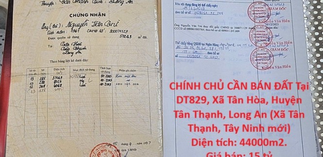 HOT ĐẦU TƯ SINH LỜI – CHÍNH CHỦ CẦN BÁN ĐẤT Tại Xã Tân Hòa, Huyện Tân Thạnh, Long An