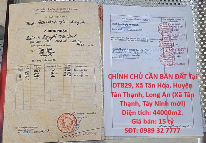 HOT ĐẦU TƯ SINH LỜI – CHÍNH CHỦ CẦN BÁN ĐẤT Tại Xã Tân Hòa, Huyện Tân Thạnh, Long An