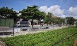 CHÍNH CHỦ CẦN BÁN ĐẤT MẶT TIỀN ĐƯỜNG 2/4 – 900M² – Đường 2/4, TT.Thạnh Mỹ, H.Đơn Dương, Lâm Đồng