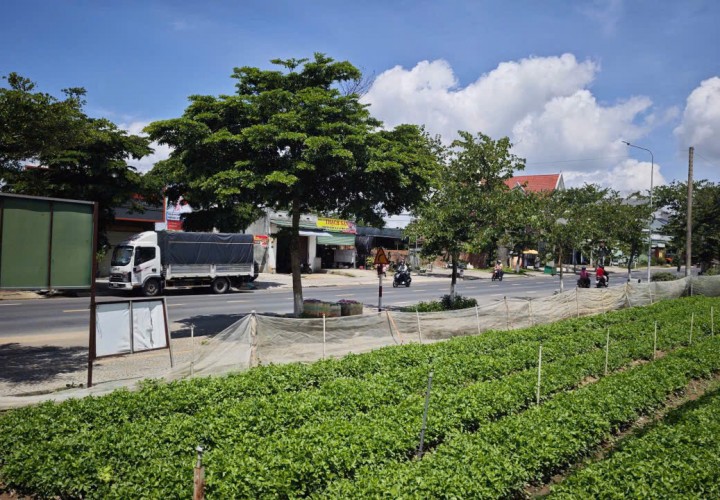 CHÍNH CHỦ CẦN BÁN ĐẤT MẶT TIỀN ĐƯỜNG 2/4 – 900M² – Đường 2/4, TT.Thạnh Mỹ, H.Đơn Dương, Lâm Đồng