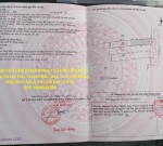 GIÁ TỐT - CHÍNH CHỦ CẦN BÁN NHANH 2 LÔ ĐẤT LIỀN KỀ Vị Trí Tại Huyện Bảo Lâm, Tỉnh Lâm Đồng