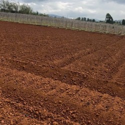 ĐẤT ĐẸP - GIÁ TỐT - CHÍNH CHỦ CẦN BÁN NHANH LÔ ĐẤT Xã N'Thôn Hạ, Đức Trọng, Lâm Đồng