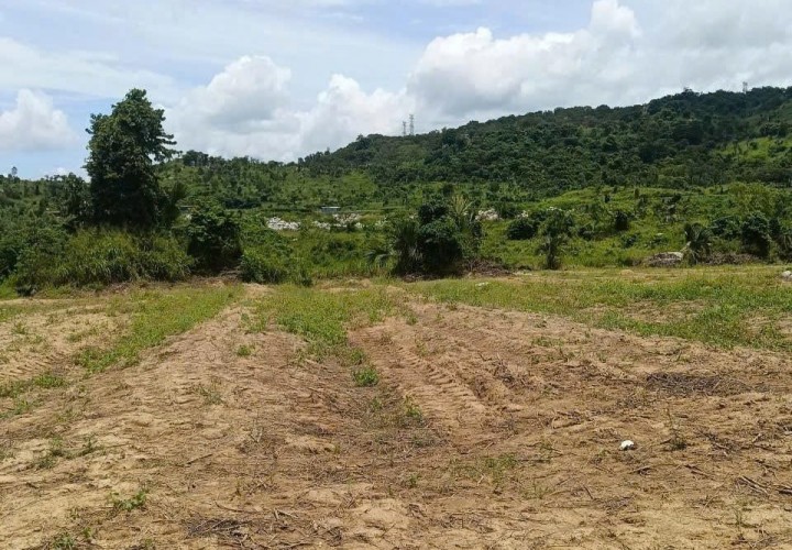 ĐẤT ĐẸP – GIÁ ĐẦU TƯ  –CHÍNH CHỦ BÁN 2 LÔ ĐẤT Tại QLA, Xã Tân Phúc, Huyện Hàm Tân, Bình Thuận