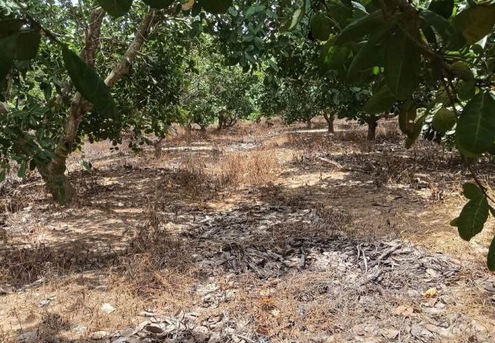 ĐẤT ĐẸP – GIÁ ĐẦU TƯ  –CHÍNH CHỦ BÁN 2 LÔ ĐẤT Tại QLA, Xã Tân Phúc, Huyện Hàm Tân, Bình Thuận