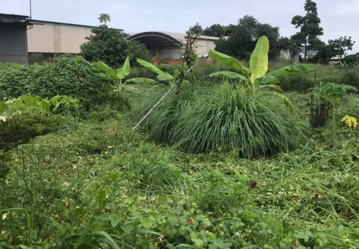 ĐẤT CHÍNH CHỦ - BÁN 2 LÔ LIỀN KỀ - Phường Phước Bình, Tỉnh Đồng Nai