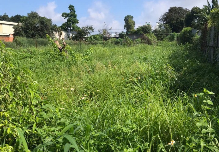 ĐẤT CHÍNH CHỦ - BÁN 2 LÔ LIỀN KỀ - Phường Phước Bình, Tỉnh Đồng Nai