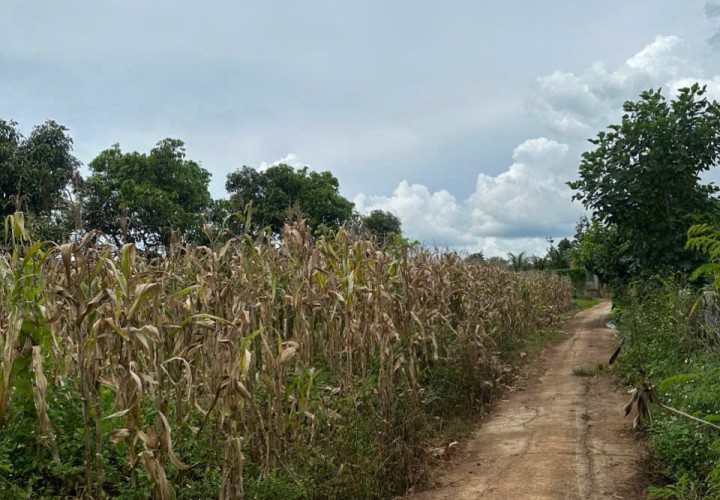 ĐẤT ĐẸP – GIÁ TỐT – CHÍNH CHỦ BÁN TẠI Xã Ea Nuoil, Buôn Đôn, Đắk Lắk