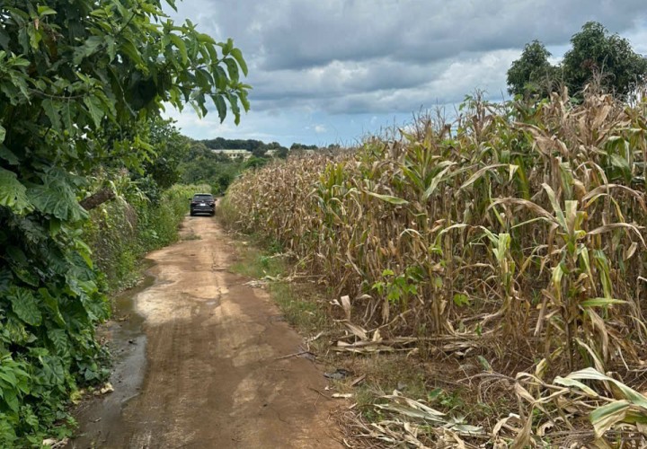 ĐẤT ĐẸP – GIÁ TỐT – CHÍNH CHỦ BÁN TẠI Xã Ea Nuoil, Buôn Đôn, Đắk Lắk