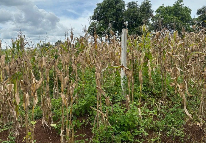 ĐẤT ĐẸP – GIÁ TỐT – CHÍNH CHỦ BÁN TẠI Xã Ea Nuoil, Buôn Đôn, Đắk Lắk