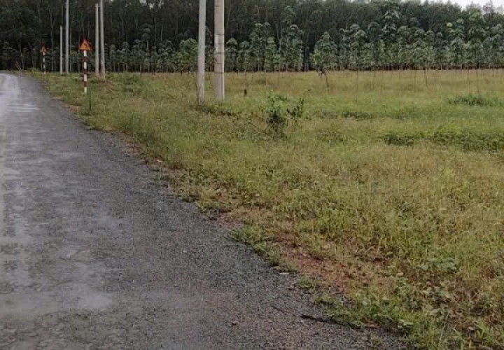 GIÁ TỐT -  CHÍNH CHỦ Cần Bán Nhanh Lô Đất Vị Trí Tại Huyện Đồng Phú, Tỉnh Bình Phước