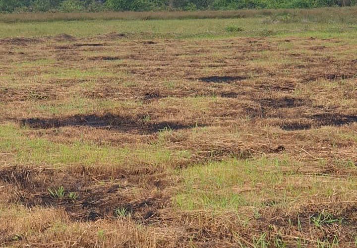 ĐẤT ĐẸP - ĐẦU TƯ SINH LỜI - Chính Chủ Kẹt Tiền Cần Bán Gấp Lô Đất tại Nhơn Trạch, Đồng Nai