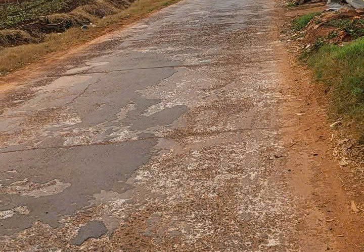ĐẤT ĐẸP – GIÁ TỐT – CHÍNH CHỦ CẦN BÁN LÔ ĐẤT Đường Suối Thông B, Xã Đạ Ròn, Đơn Dương, Lâm Đồng