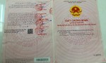 ĐẤT ĐẸP - GIÁ TỐT - Cần Bán Nhanh Lô Đất 2 Mặt Tiền Tại Đông Thạnh, Hóc Môn, tp Hồ Chí Minh