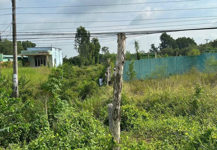 ĐẦU TƯ SINH LỜI – CHÍNH CHỦ CẦN BÁN ĐẤT MẶT TIỀN QL 62  TẠI Xã Tân Tây, Huyện Thạnh Hóa, Long An