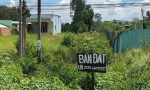ĐẦU TƯ SINH LỜI – CHÍNH CHỦ CẦN BÁN ĐẤT MẶT TIỀN QL 62  TẠI Xã Tân Tây, Huyện Thạnh Hóa, Long An
