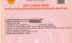 ĐẦU TƯ SINH LỜI – CHÍNH CHỦ CẦN BÁN ĐẤT MẶT TIỀN QL 62  TẠI Xã Tân Tây, Huyện Thạnh Hóa, Long An