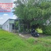 ĐẤT ĐẸP- GIÁ TỐT BÁN NHANH LÔ ĐẤT ĐẦU TƯ LÀ SINH LỜI CÓ SẴN NHÀ CẤP 4 TẠI huyện Đức Hòa tỉnh Long An