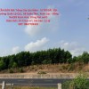 CẦN BÁN Đất Trồng Cây Lâu Năm - VỊ TRÍ ĐẮC ĐỊA Đường Quốc Lộ QL1, Xã Xuân Tâm, Xuân Lộc - Đồng Nai