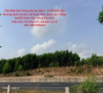 CẦN BÁN Đất Trồng Cây Lâu Năm - VỊ TRÍ ĐẮC ĐỊA Đường Quốc Lộ QL1, Xã Xuân Tâm, Xuân Lộc - Đồng Nai