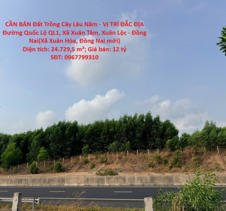 CẦN BÁN Đất Trồng Cây Lâu Năm - VỊ TRÍ ĐẮC ĐỊA Đường Quốc Lộ QL1, Xã Xuân Tâm, Xuân Lộc - Đồng Nai