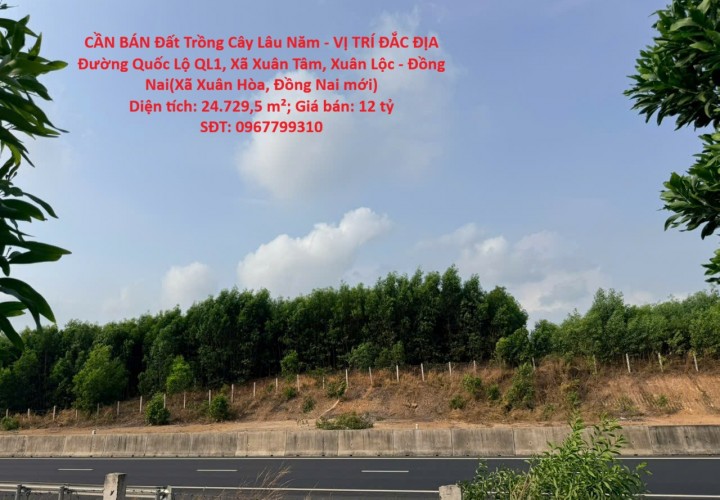 CẦN BÁN Đất Trồng Cây Lâu Năm - VỊ TRÍ ĐẮC ĐỊA Đường Quốc Lộ QL1, Xã Xuân Tâm, Xuân Lộc - Đồng Nai