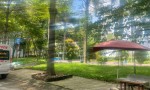 NHÀ ĐẸP – GIÁ TỐT - CẦN BÁN CĂN NHÀ Đường số 8, Phường An Lạc A, Quận Bình Tân (Khu Tên Lửa) TP.HCM