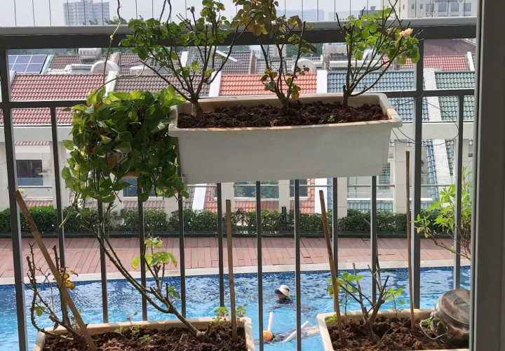 CĂN GÓC MẶT TIỀN ĐẸP – GIÁ TỐT  – CHÍNH CHỦ CẦN BÁN Tại 102 Đặng Văn Bi, P. Thủ Đức, HCM
