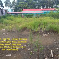 ĐẤT ĐẸP – GIÁ TỐT – CHÍNH CHỦ CẦN BÁN TẠI Đường Cây Khoa, Tân Khánh Đông, Sa Đéc, Đồng Tháp